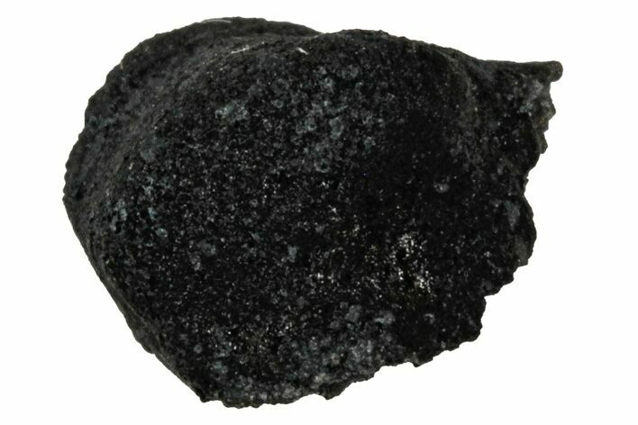 Ait Saoun EH/EH Chondrite Meteorite ( g) - Fresh Fall! #304184